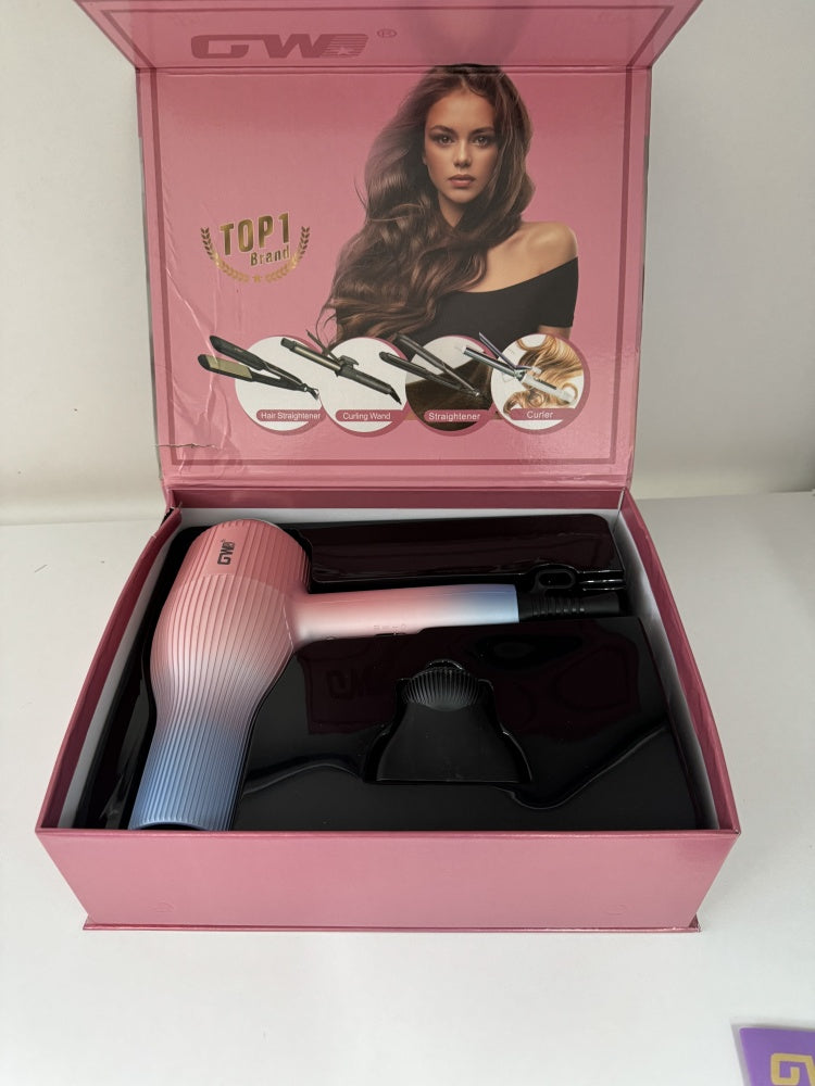 GW Professional Hair Dryer